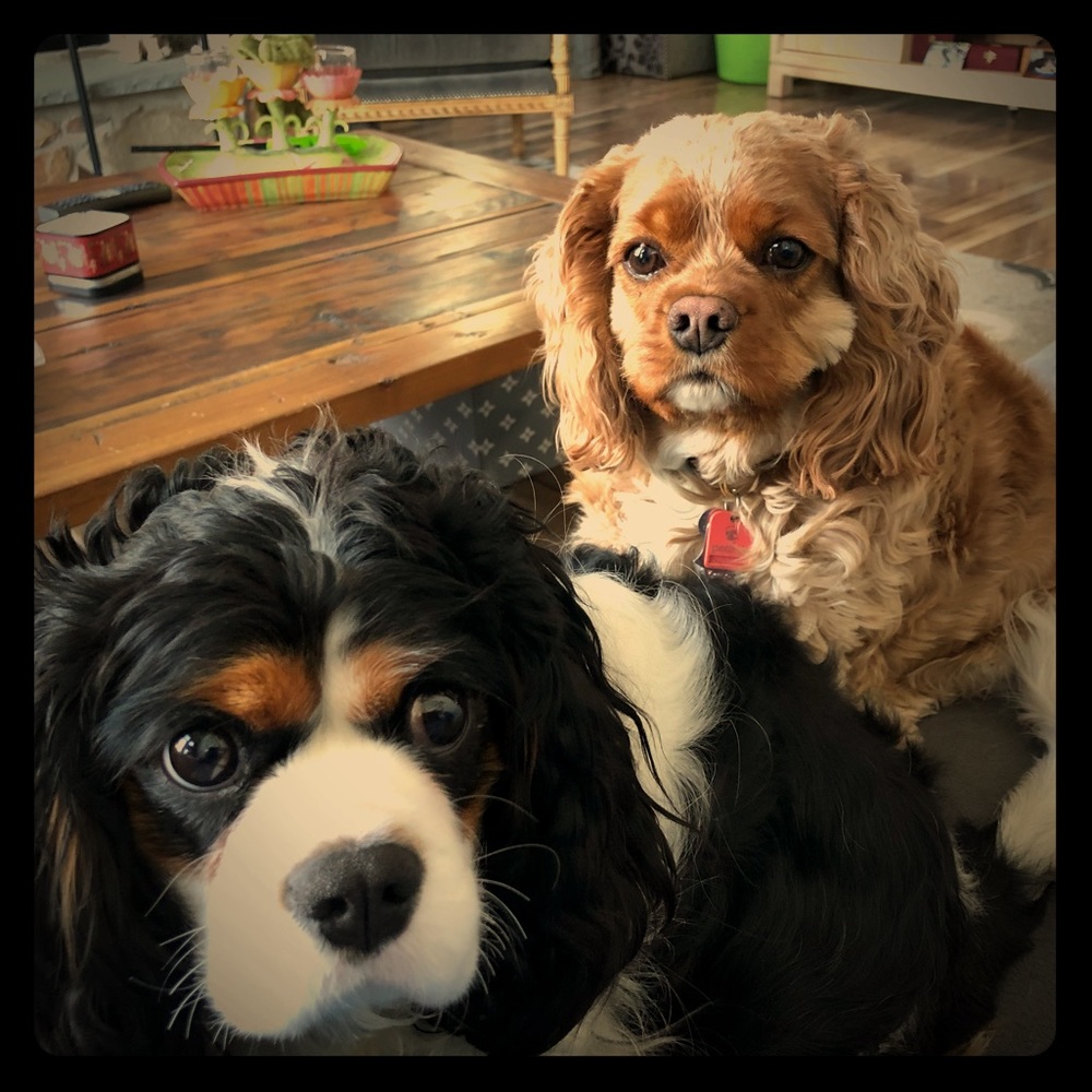 Meet your Posher, Keith